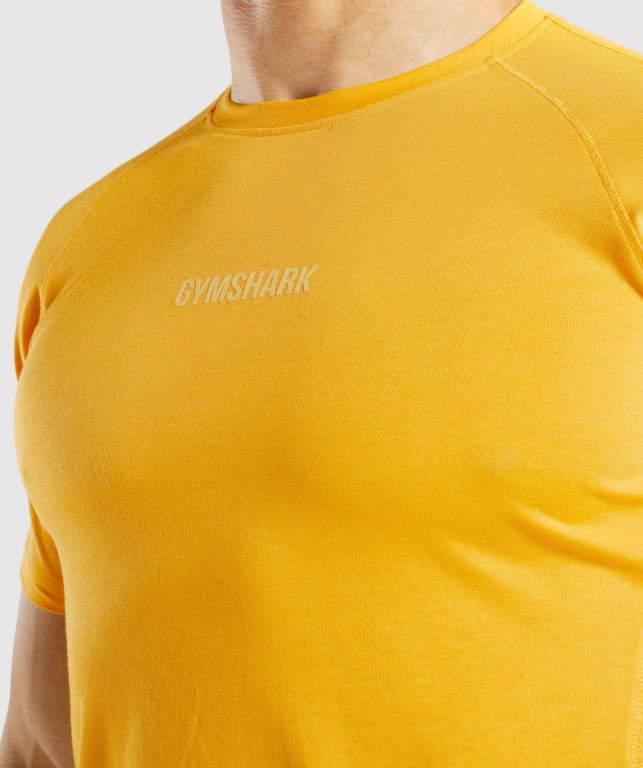 Gymshark Chalk Men's T Shirts Yellow | UAE-49ICWU