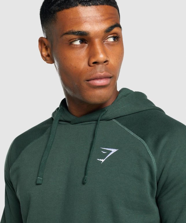 Gymshark Crest Men's Hoodies Dark Green | UAE-84ULVB