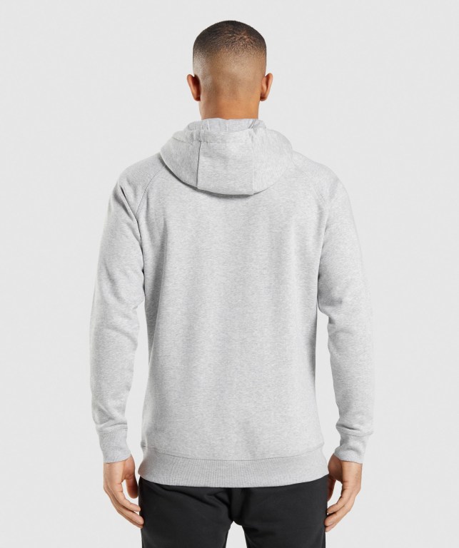 Gymshark Crest Men's Hoodies Light Grey | UAE-17OWKM