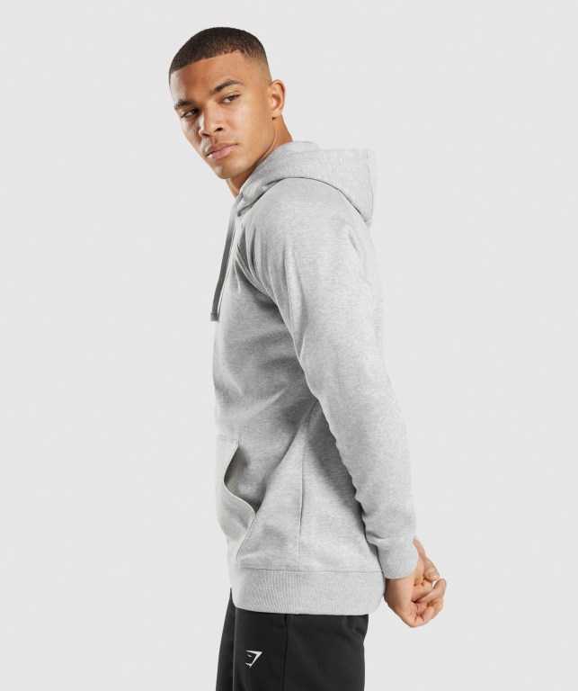 Gymshark Crest Men's Hoodies Light Grey | UAE-17OWKM