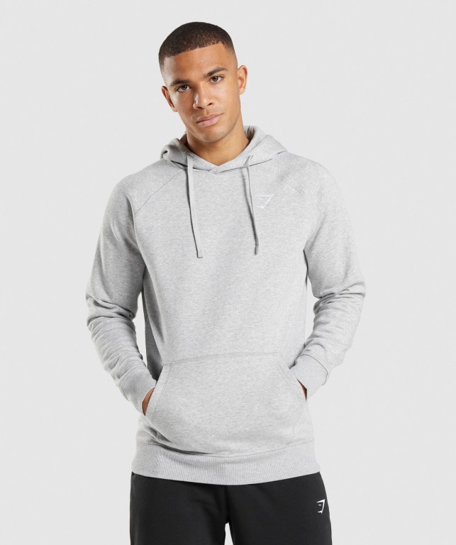 Gymshark Crest Men\'s Hoodies Light Grey | UAE-17OWKM