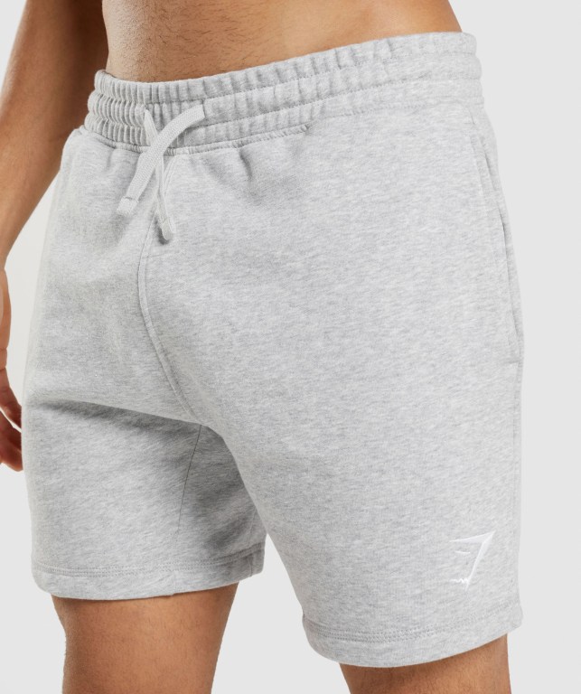 Gymshark Crest Men's Shorts Light Grey | UAE-51OJLW