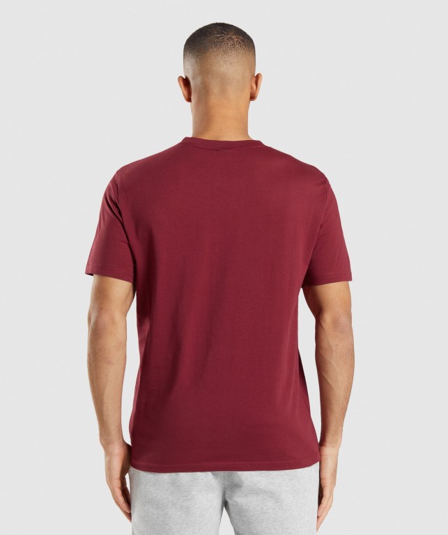 Gymshark Crest Men's T Shirts Burgundy Red | UAE-74JRMG