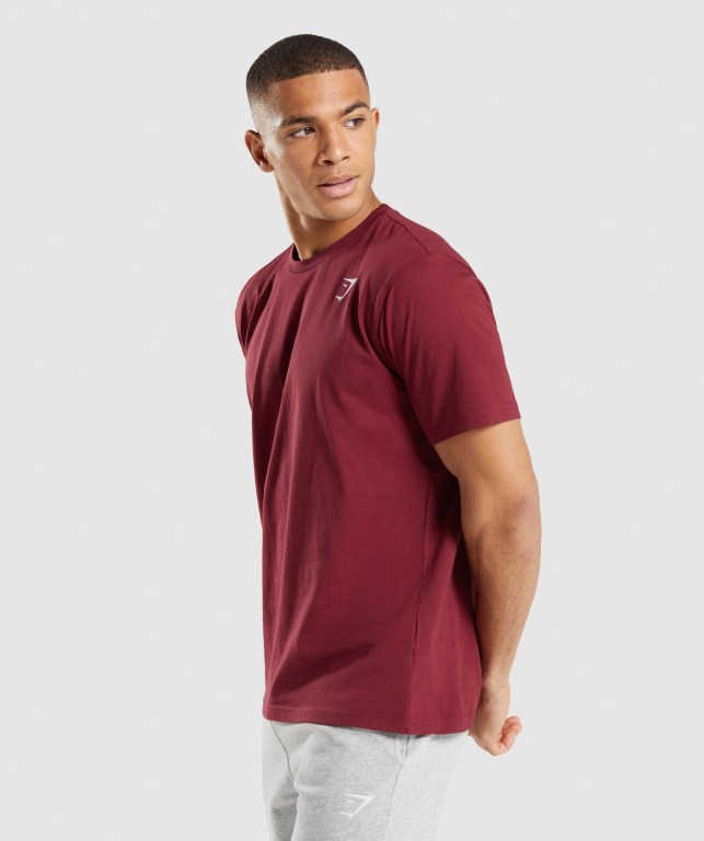 Gymshark Crest Men's T Shirts Burgundy Red | UAE-74JRMG