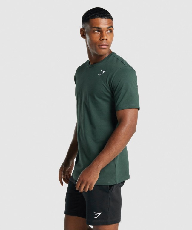 Gymshark Crest Men's T Shirts Dark Green | UAE-38OPTX