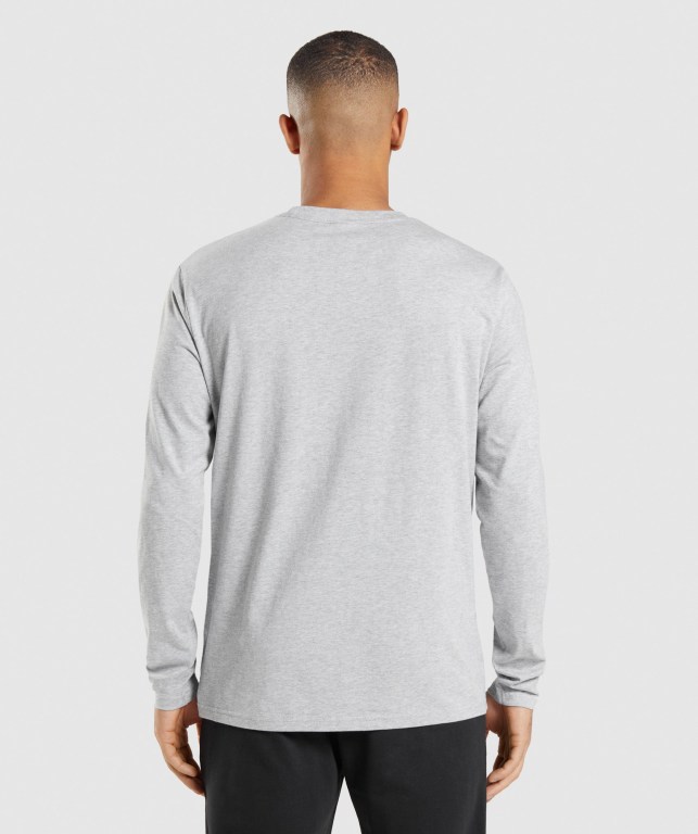 Gymshark Crest Men's T Shirts Light Grey | UAE-20VFED