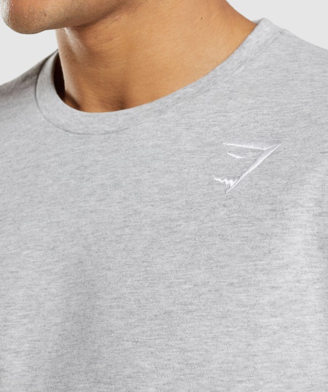 Gymshark Crest Men's T Shirts Light Grey | UAE-20VFED