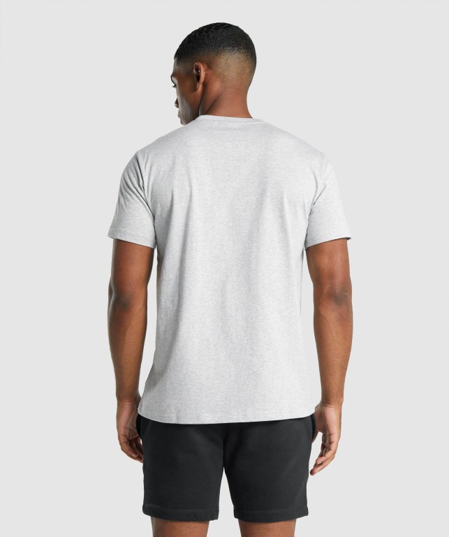 Gymshark Crest Men's T Shirts Light Grey | UAE-90HIDY