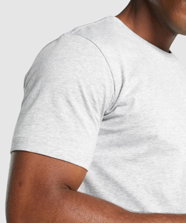 Gymshark Crest Men's T Shirts Light Grey | UAE-90HIDY