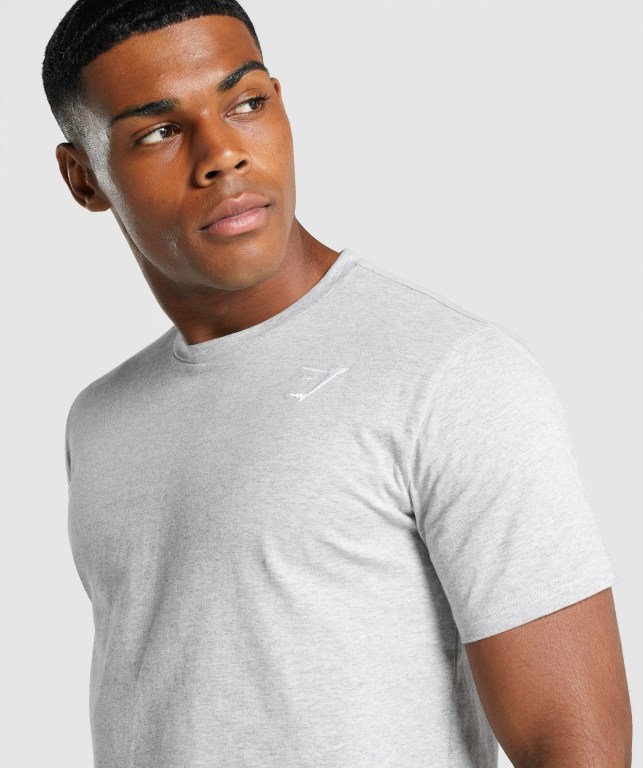 Gymshark Crest Men's T Shirts Light Grey | UAE-90HIDY