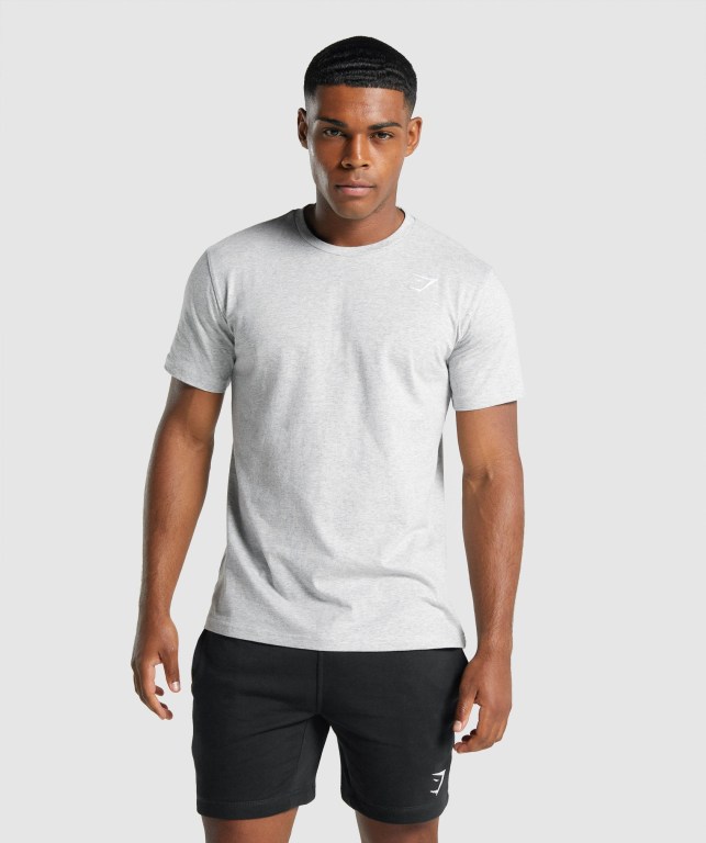 Gymshark Crest Men\'s T Shirts Light Grey | UAE-90HIDY