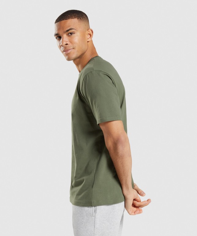 Gymshark Crest Men's T Shirts Olive | UAE-16GKLA