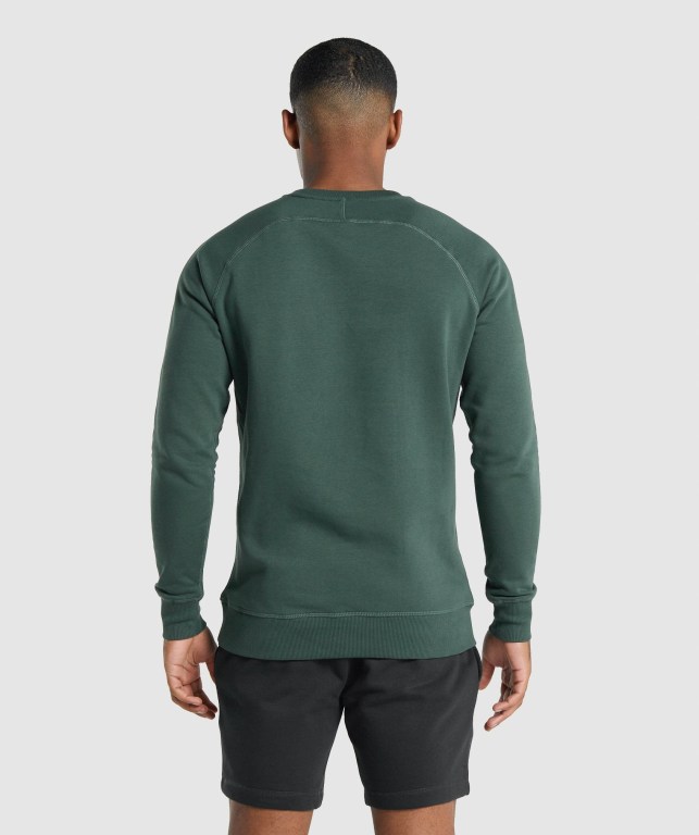 Gymshark Crest Sweatshirt Men's Hoodies Dark Green | UAE-06NVBU