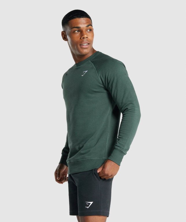 Gymshark Crest Sweatshirt Men's Hoodies Dark Green | UAE-06NVBU