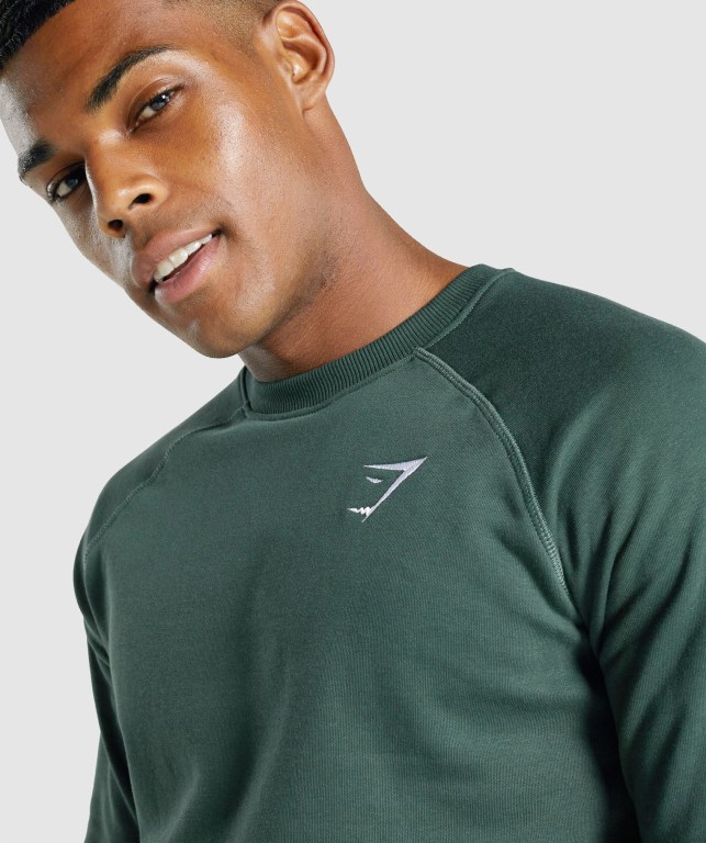 Gymshark Crest Sweatshirt Men's Hoodies Dark Green | UAE-06NVBU