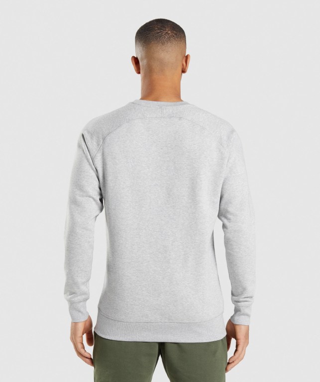 Gymshark Crest Sweatshirt Men's Hoodies Light Grey | UAE-19QRAD