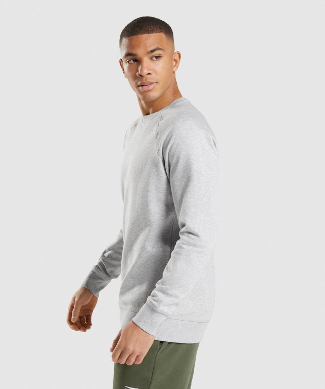 Gymshark Crest Sweatshirt Men's Hoodies Light Grey | UAE-19QRAD