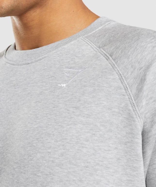 Gymshark Crest Sweatshirt Men's Hoodies Light Grey | UAE-19QRAD