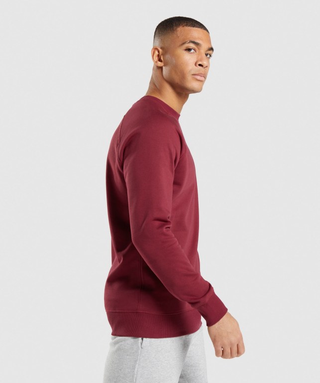 Gymshark Crest Sweatshirt Men's Hoodies Burgundy Red | UAE-23HCXS