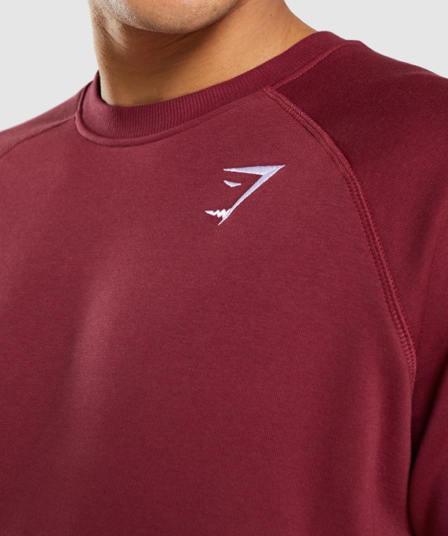 Gymshark Crest Sweatshirt Men's Hoodies Burgundy Red | UAE-23HCXS