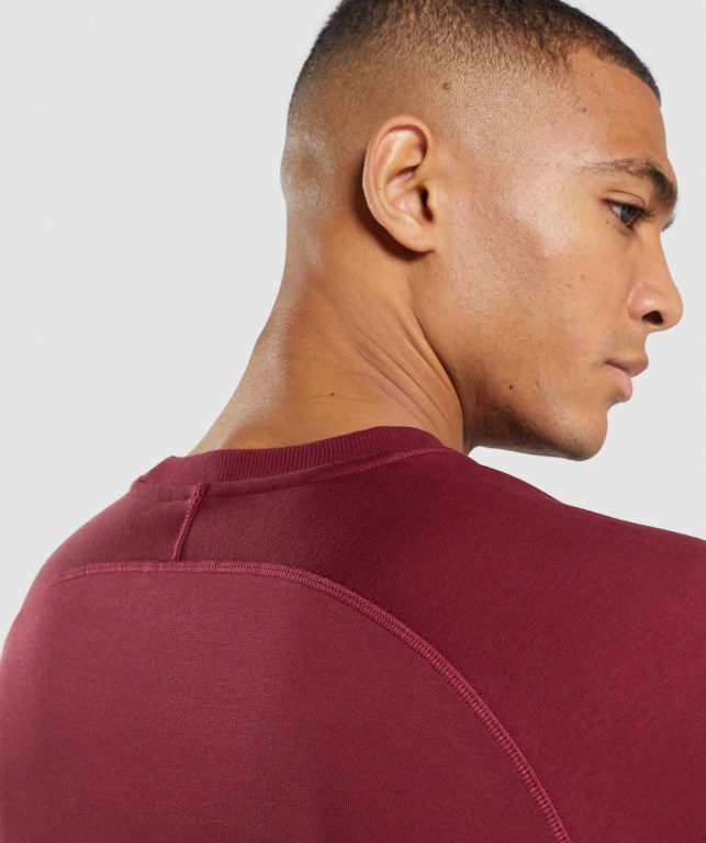 Gymshark Crest Sweatshirt Men's Hoodies Burgundy Red | UAE-23HCXS