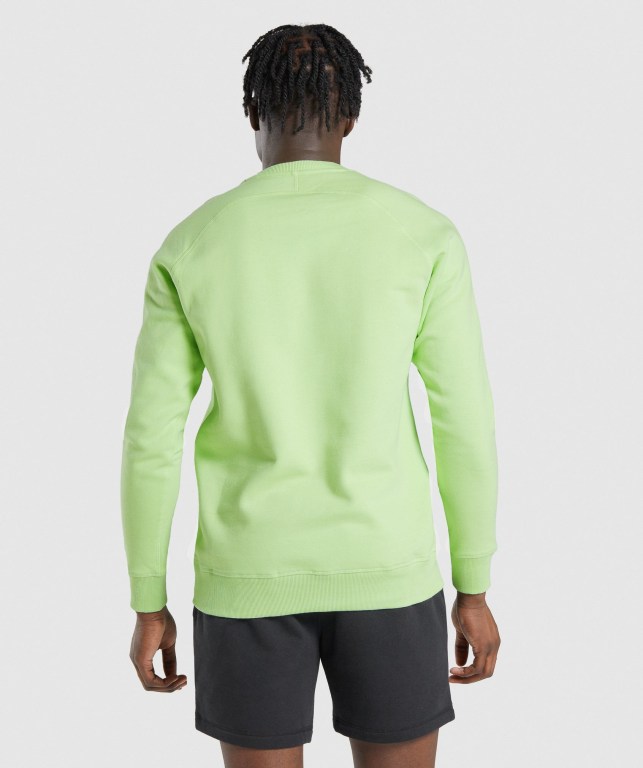 Gymshark Crest Sweatshirt Men's Hoodies Green | UAE-42LBAC