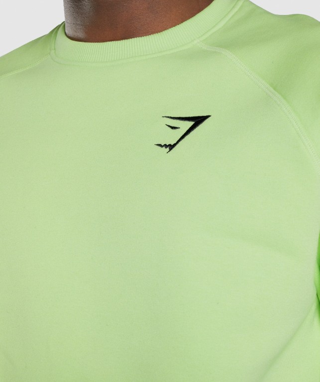 Gymshark Crest Sweatshirt Men's Hoodies Green | UAE-42LBAC