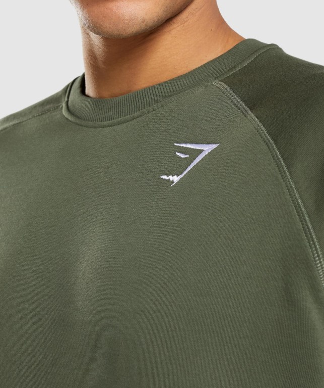 Gymshark Crest Sweatshirt Men's Hoodies Olive | UAE-59QRKN