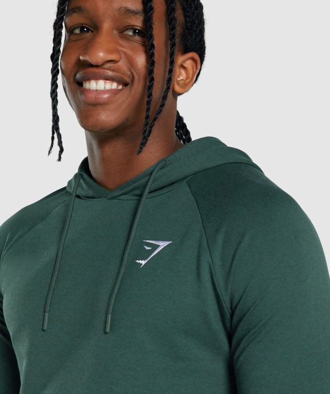 Gymshark Critical 2.0 Men's Hoodies Dark Green | UAE-73OKXT