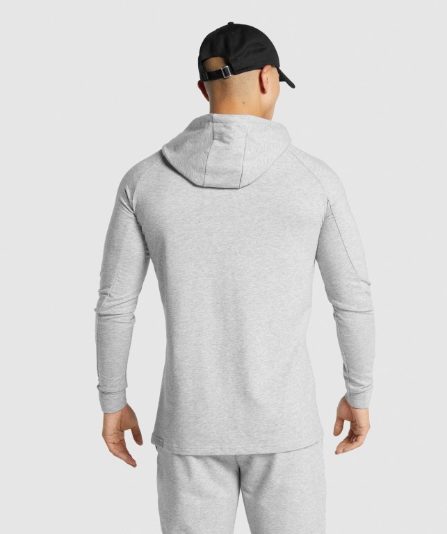 Gymshark Critical 2.0 Men's Hoodies Light Grey | UAE-93CSOU