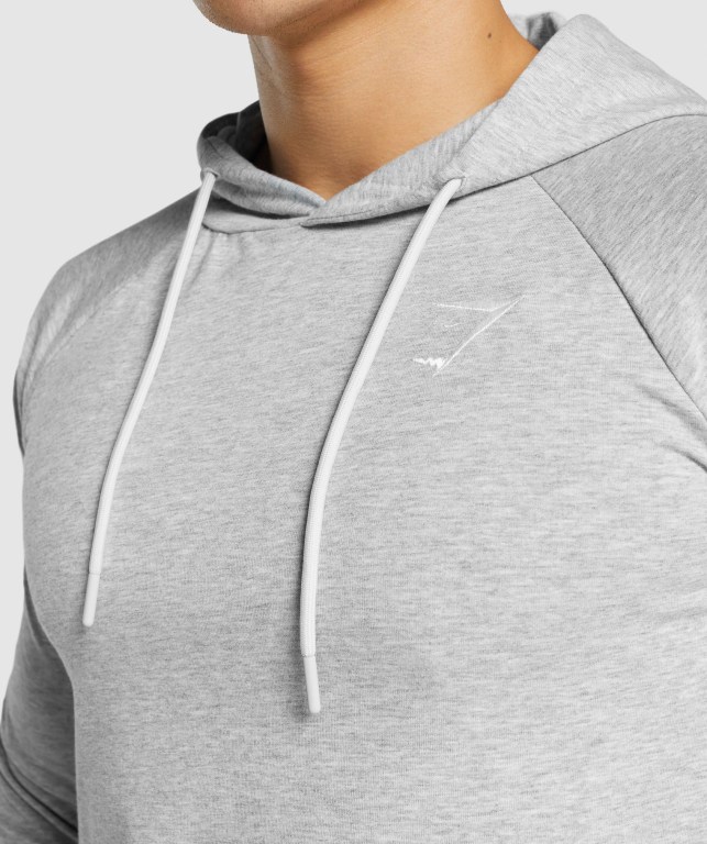 Gymshark Critical 2.0 Men's Hoodies Light Grey | UAE-93CSOU