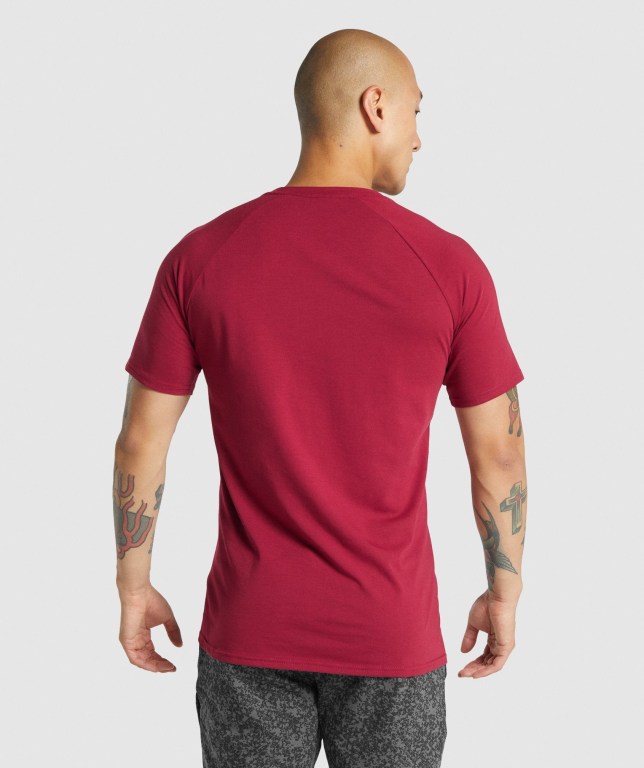 Gymshark Critical 2.0 Men's T Shirts Burgundy | UAE-93UQWT