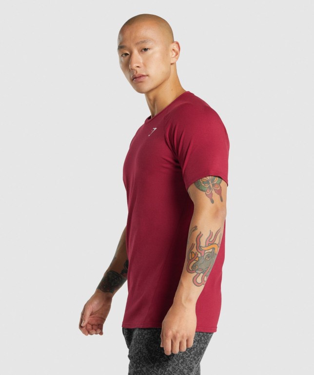 Gymshark Critical 2.0 Men's T Shirts Burgundy | UAE-93UQWT