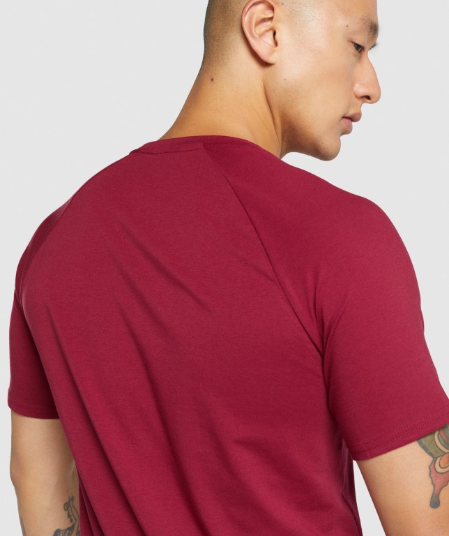 Gymshark Critical 2.0 Men's T Shirts Burgundy | UAE-93UQWT