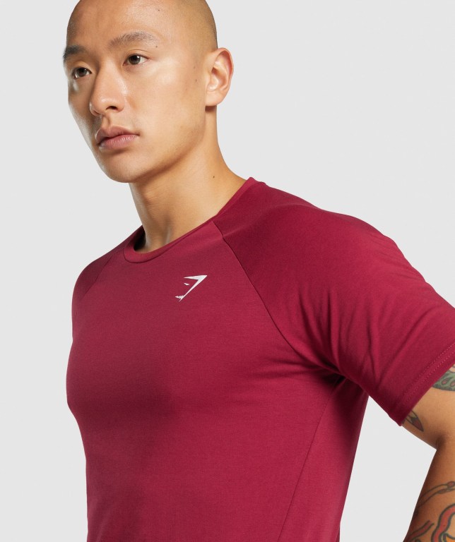 Gymshark Critical 2.0 Men's T Shirts Burgundy | UAE-93UQWT