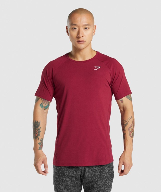 Gymshark Critical 2.0 Men\'s T Shirts Burgundy | UAE-93UQWT