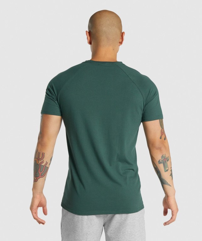 Gymshark Critical 2.0 Men's T Shirts Dark Green | UAE-35QZIE