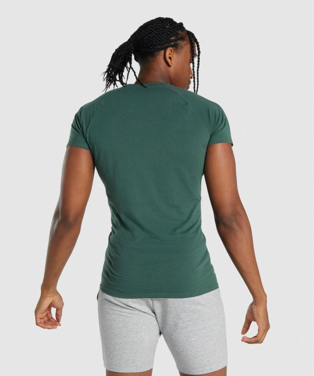 Gymshark Critical 2.0 Men's T Shirts Dark Green | UAE-93DRZX