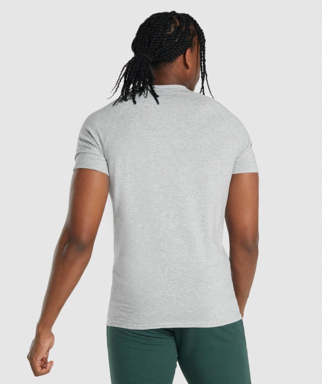 Gymshark Critical 2.0 Men's T Shirts Light Grey | UAE-29RFDM