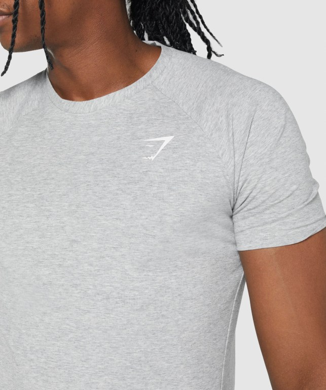 Gymshark Critical 2.0 Men's T Shirts Light Grey | UAE-29RFDM