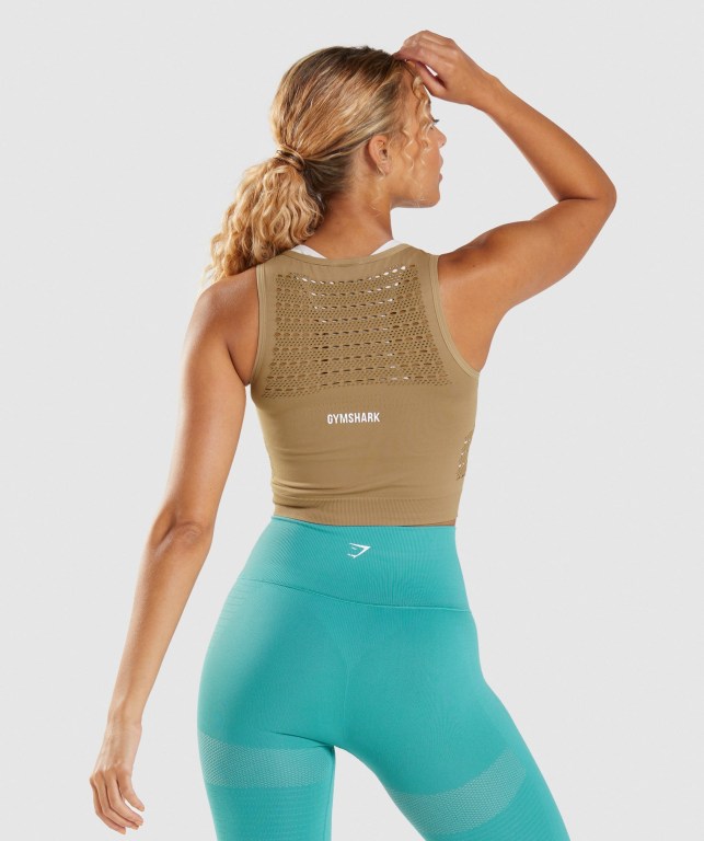 Gymshark Energy Seamless Crop Top Women's T Shirts Brown | UAE-14ZXBF