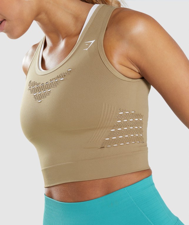 Gymshark Energy Seamless Crop Top Women's T Shirts Brown | UAE-14ZXBF