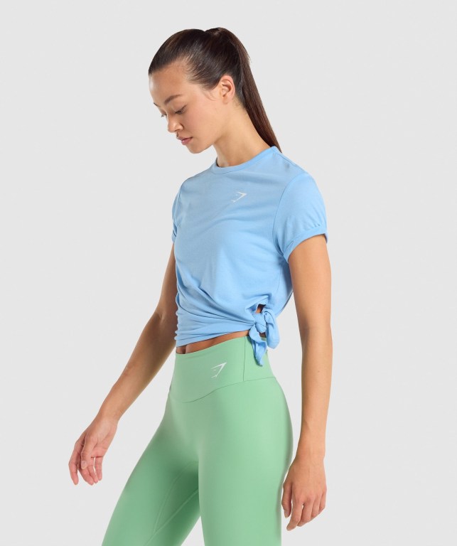 Gymshark Essential Women's T Shirts Light Blue | UAE-74GUQI