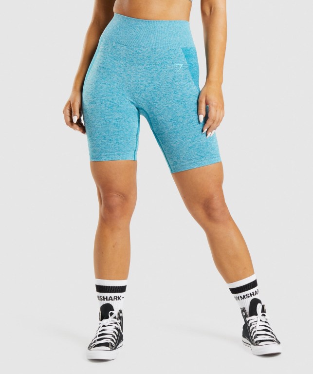 Gymshark Flex Cycling Women\'s Shorts Blue | UAE-16GTRD