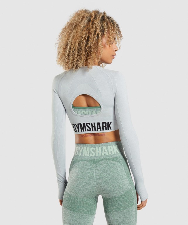 Gymshark Flex Sports Crop Top Women's Sweatshirts Light Grey | UAE-36WVCL