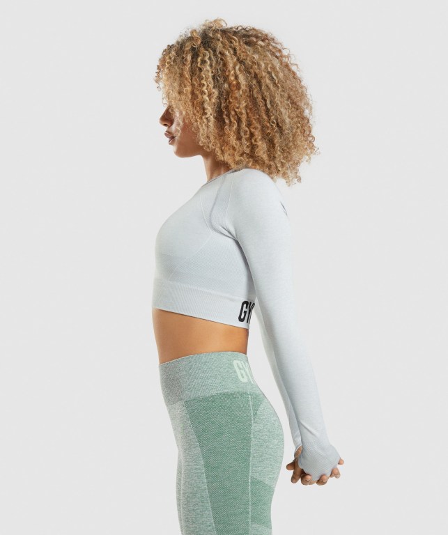 Gymshark Flex Sports Crop Top Women's Sweatshirts Light Grey | UAE-36WVCL