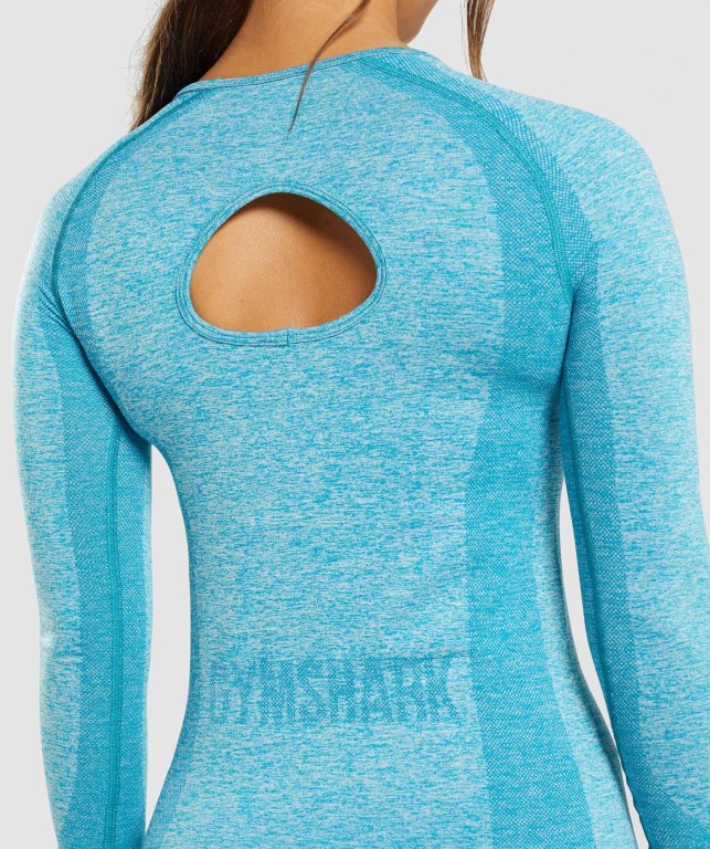 Gymshark Flex Top Women's T Shirts Blue | UAE-69RBMP