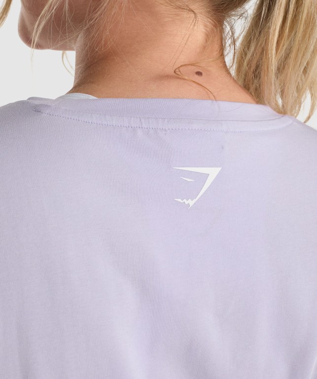 Gymshark Fraction Crop Top Women's Sweatshirts Light Purple | UAE-06YHKV