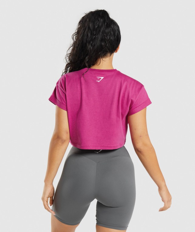 Gymshark Fraction Crop Top Women's Sweatshirts Pink | UAE-20YCBP