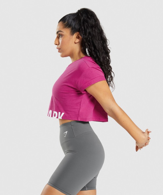 Gymshark Fraction Crop Top Women's Sweatshirts Pink | UAE-20YCBP